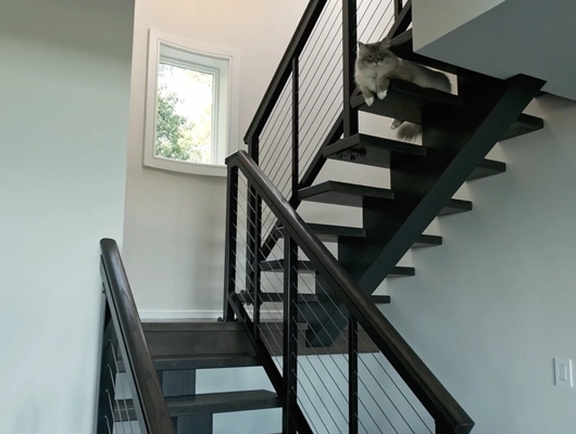 black stairs with cat sitting on them