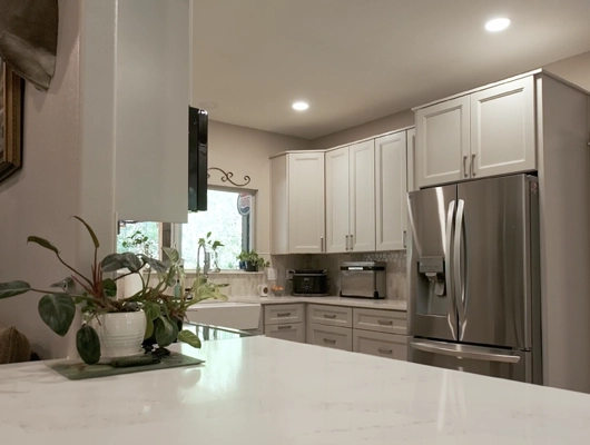 white kitchen with stainless steel fridge and plant on the counter