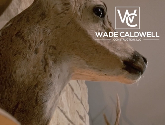 taxidermy deer hanging on the wall