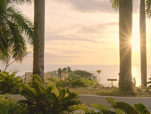 outside landscape with sun shining