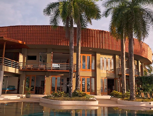 luxury house with palm trees and sunset