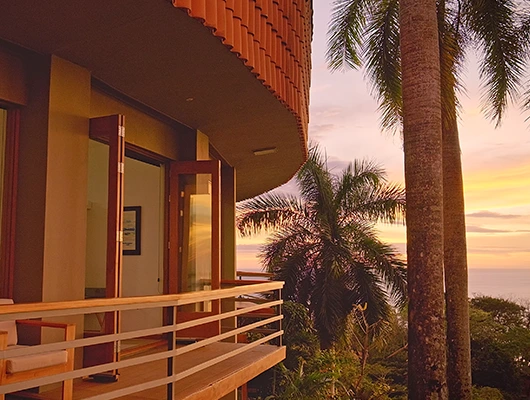 balcony with palm trees and sunset golden hour